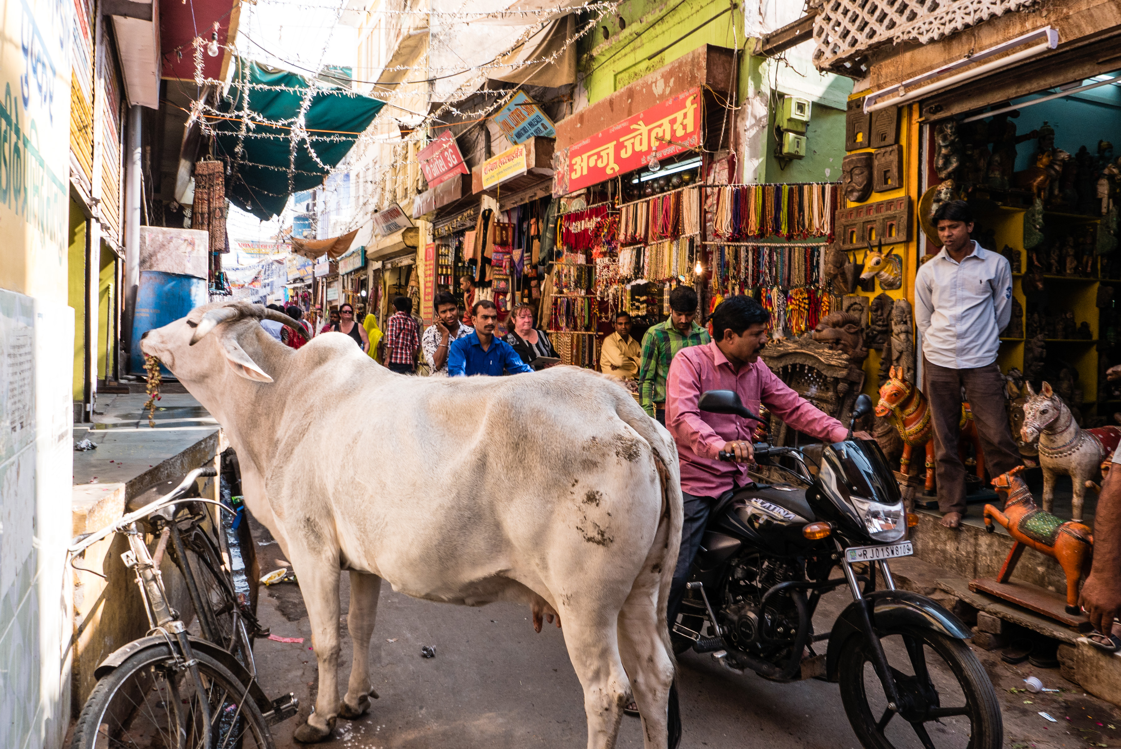 Pushkar